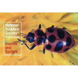 AUDBN PG: INSECTS & SPIDER by liberty mountain AUDBN PG: INSECTS & SPIDER by liberty mountain