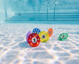 Deluxe Dive Disks Set (6) Deluxe Dive Disks Set (6)