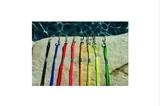 Whistle Lanyard Whistle Lanyard