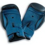 SPRI Boxing Gloves 16 Oz SPRI Boxing Gloves 16 Oz