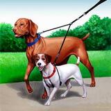 Double Dog Leash Black Double Dog Leash Black